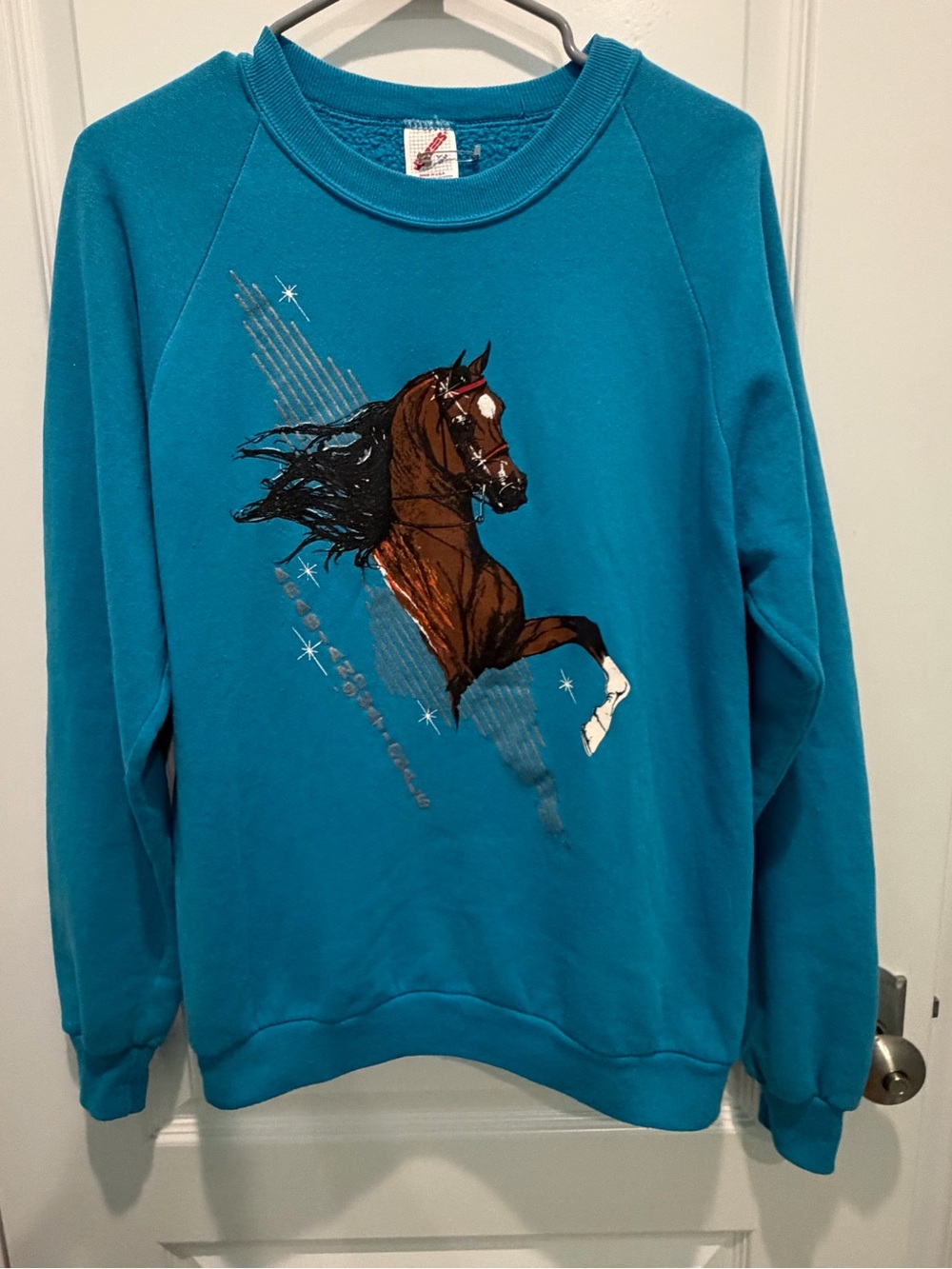 Vintage Jerzees Arabian National ‘92 Graphic Sweatshirt Men’s L Horse Equestrian